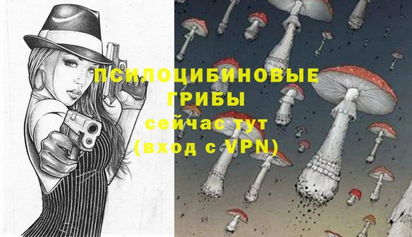 ECSTASY Алексин
