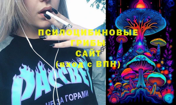 ГАЛЛЮЦИНОГЕННЫЕ ГРИБЫ Алексеевка