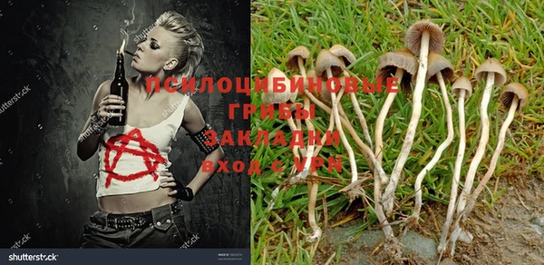 ГАЛЛЮЦИНОГЕННЫЕ ГРИБЫ Алексеевка