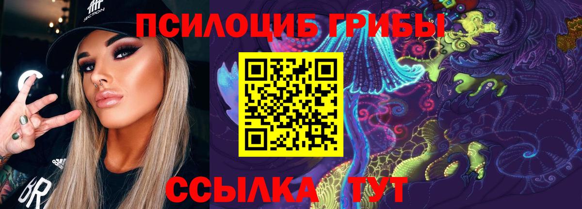 Псилоцибиновые грибы мицелий  Псилоцибиновые грибы GOLDEN TEACHER  Гурьевск  наркота  Вход с VPN 